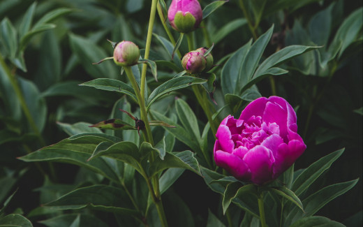 1484836 (a): :2560x1600